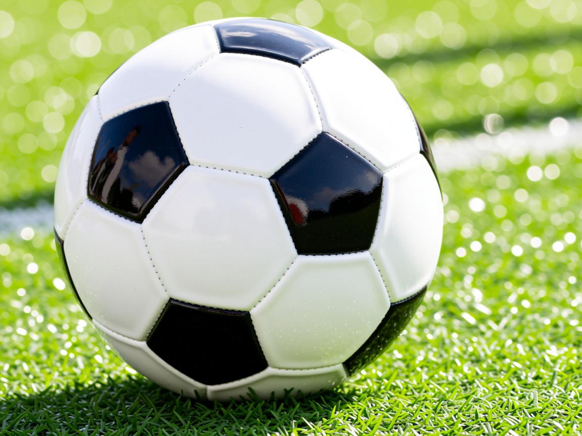 开云体育-Palmer成为切尔西未来核心球员目标，切尔西新人  第2张