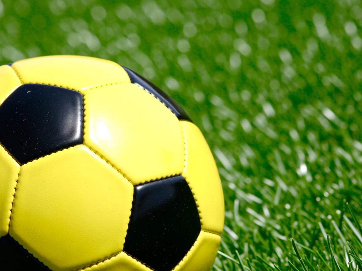 kaiyun开云体育-激励球员士气的教练风采独特