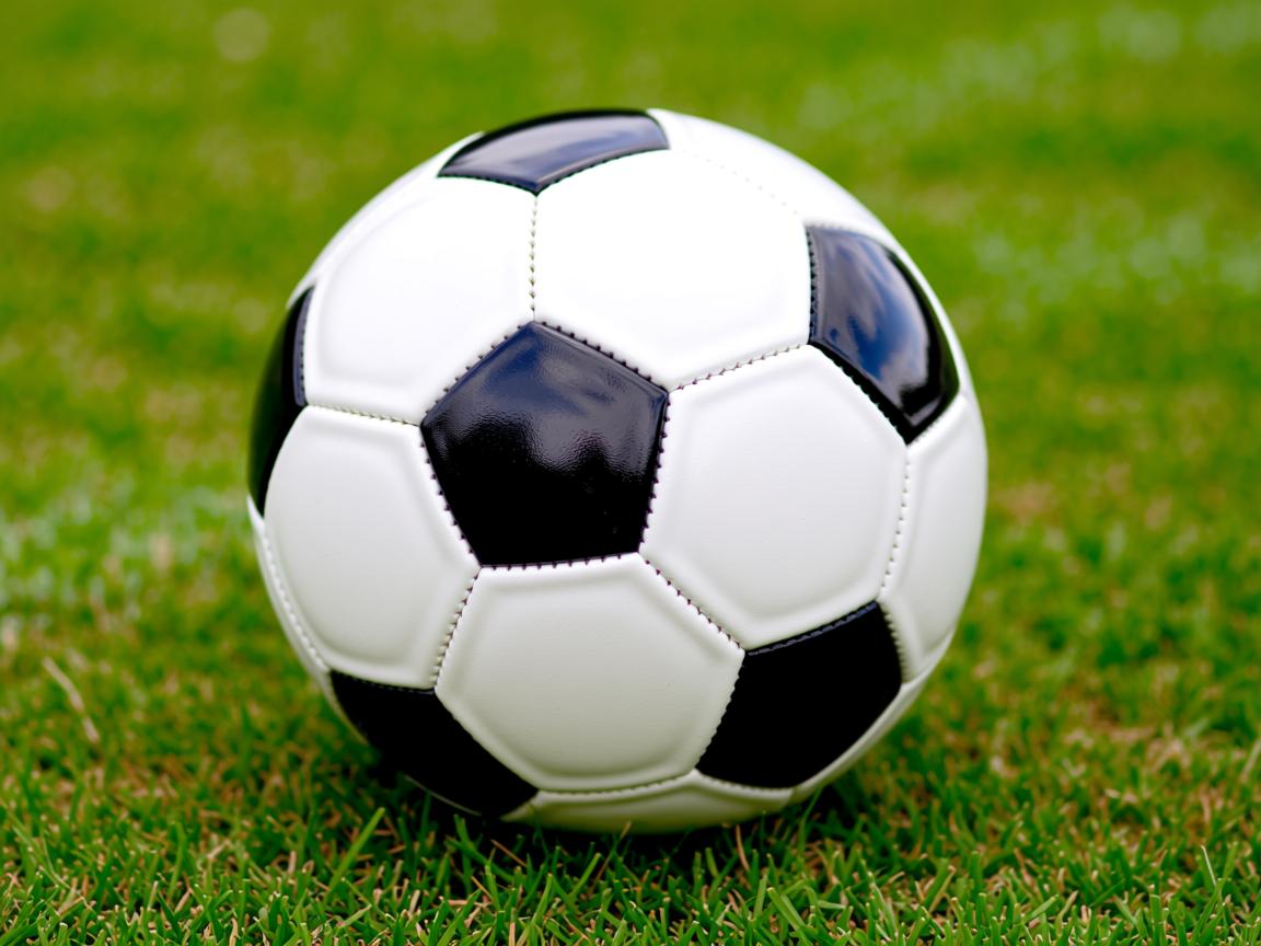 开云体育在线官网-中国男篮全队备战国际大赛，中国男篮国际比赛  第3张