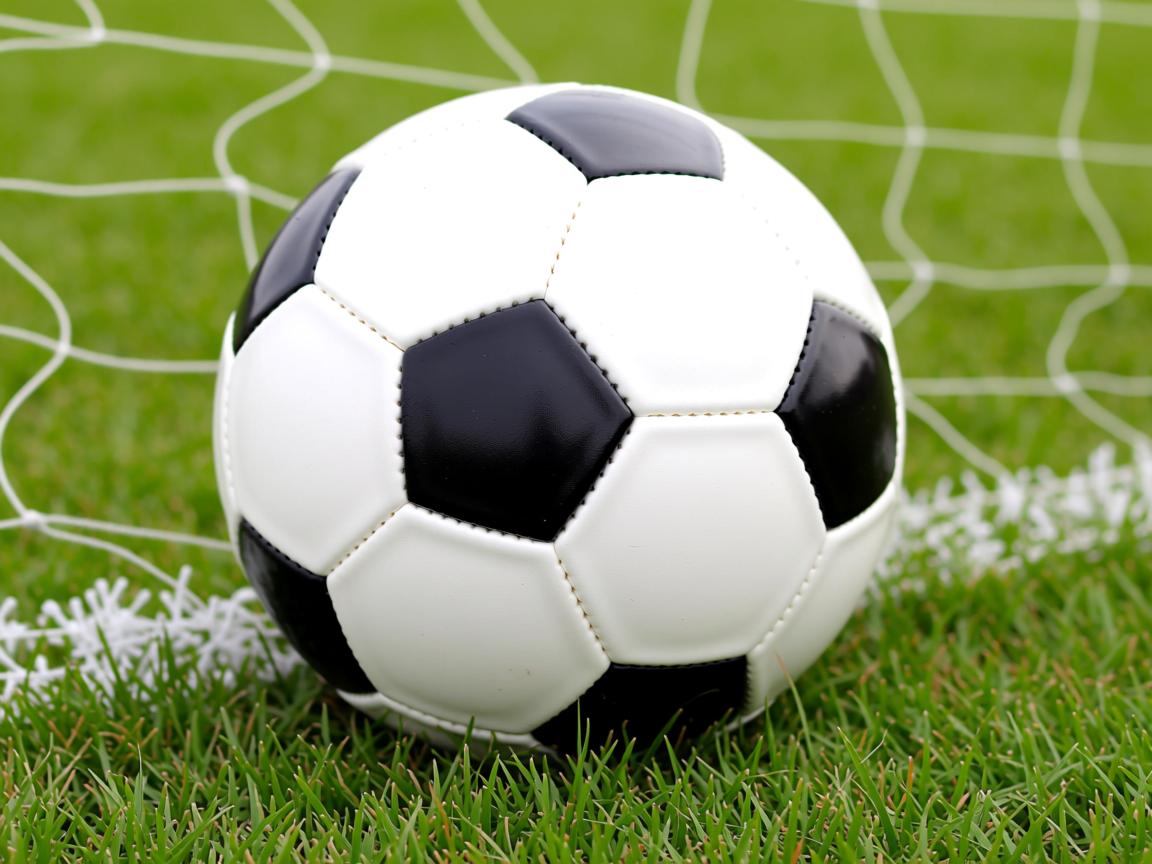 开云体育官网下载-体育专项课题研究成果服务实战训练,体育课题研究实施方案 第2张