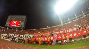 开云体育登录-场馆设施翻新完成比赛场地改造计划推进，场馆设计方案